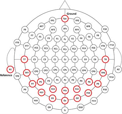 Auditory Noise Leads to Increased Visual Brain-Computer Interface Performance: A Cross-Modal Study